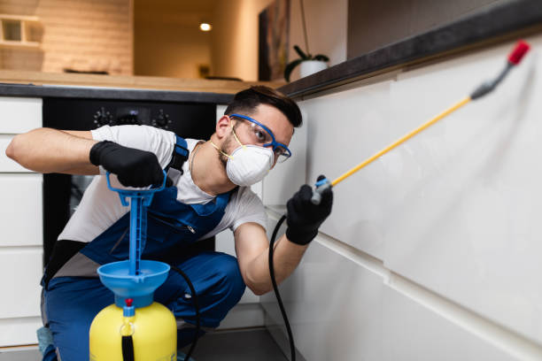 Best Ant Control Services  in Heritage Hills, NY