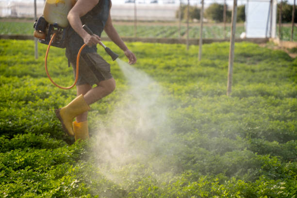 Best Pest Prevention Services  in Heritage Hills, NY