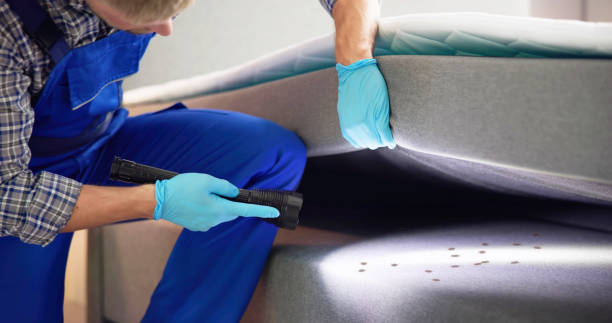 Best Local Pest Control Services  in Heritage Hills, NY