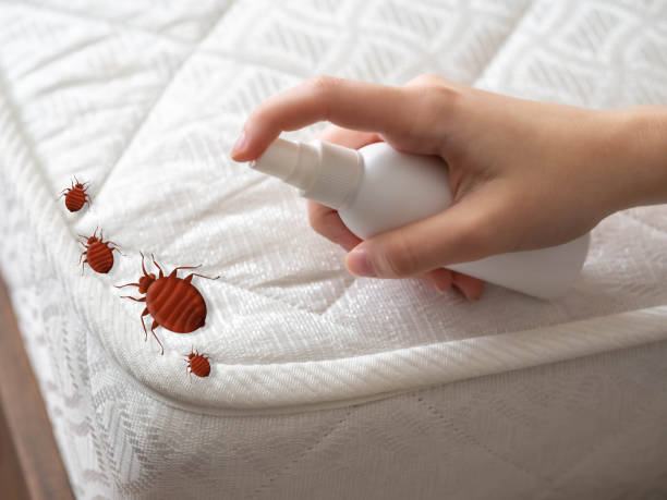 Best Pest Prevention Services  in Heritage Hills, NY